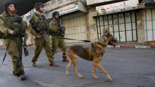 Soldados israelitas usam cães para impor a sua lei em Hebron